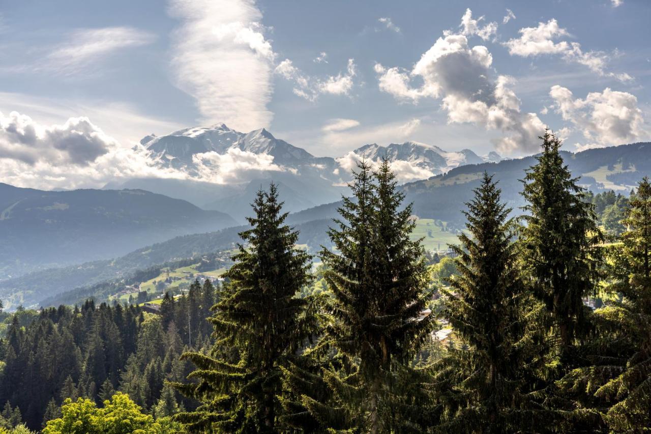 Garden & City Megeve - Combloux Aparthotel Ngoại thất bức ảnh